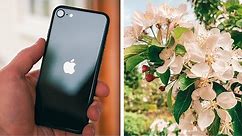 iPhone SE 2020 FULL Camera Test! BETTER than the Specs?