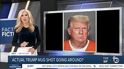 Fact or Fiction: Is Trump's actual mugshot going around?