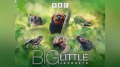 Big Little Journeys Season 1 Episode 1