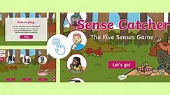 Sense Catcher: The Five Senses Game