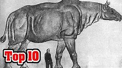 Top 10 Biggest Land Mammals That Ever Walked The Earth