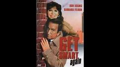 Get Smart and loving it (Get Smart Again 1989)