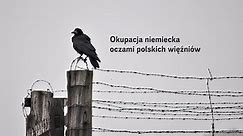 Okupacja Niemiecka Oczami Polskich Więźniów