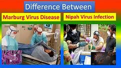 Distinctions between Marburg Virus Disease and Nipah Virus Infection