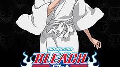 Bleach (English Dubbed): Season 2 Episode 37 37