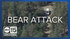 66-year-old man killed in bear attack in Prescott
