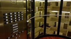 AWESOME & FAST!!! Otis High-Speed Elevators at Hyatt Regency in Atlanta, GA.
