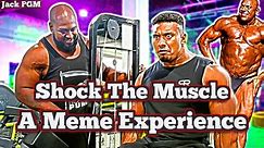 SHOCK The Muscle - A Meme Experience