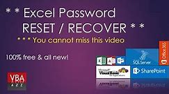 Reset Forgotten VBA Project Password
