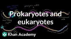 Differences in translation between prokaryotes and eukaryotes | MCAT | Khan Academy