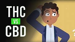 THC vs CBD: Whats the Difference?