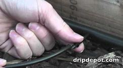 How to Use 1/4" Microtubing as Feeder Lines from Mainline Tubing in a Drip System