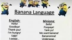 Learn minion language
