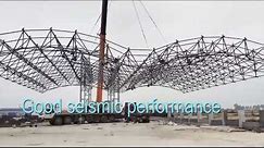 Space frame roof structure
