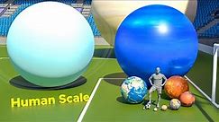 Planet Size Comparison | Human Scale Comparison | 3D Comparison