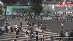 【LIVE】 Live Cam Tokyo - Shibuya | SkylineWebcams