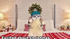 Stages of christmas eve, cat meme edition #fyp #fy #cats #catmeme #christmas #christmasmeme #catmeme #meme #greenscreen #christmaseve #eve #grinch #cindy #cindylouwho #max #maxx #dancing #dancingcat #icouldbeyourgf #gf || 💓🐈🎄