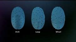 Why are Fingerprints Unique and Important?