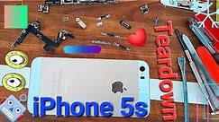 iPhone 5s Teardown | Apple 📲