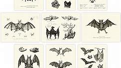 Bats Wall Decor/Vintage Halloween Decor, Halloween Decor Posters/Science Room Art, Great Gift for Bat Lovers & UNFRAMED Creepy Scary Anatomical Picture Poster Set of 9 Gothic Room Decor (8x10)