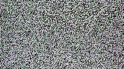 Static Tv Noise No Signal Hd Stock Footage Video (100% Royalty-free) 1018862776 | Shutterstock