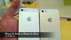 iPhone 5s Gold VS iPhone 5s Silver