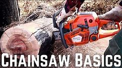 Chainsaws 101: Chainsaw Safety Basics | Safety Tips, Gear | How to Use a Chainsaw Safely
