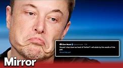 Users vote in Twitter poll to get rid of Elon Musk