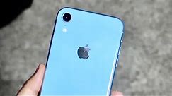 You SHOULD Buy a iPhone XR!