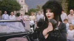 Elvira Mistress Of The Dark (1988)