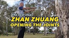 Opening the Joints - How to open the joints and stretch the joints while standing in Zhan Zhuang:
