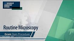 Routine Microscopy – Gram Stain Procedure
