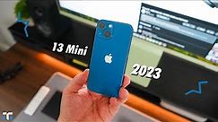 iPhone 13 Mini: End of Year Review (2023)!