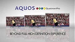 Quattron Pro Big Match