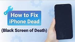 🔥[2024 Tutorial Guide] How to Fix iPhone Dead? (🌟Black Screen of Death)