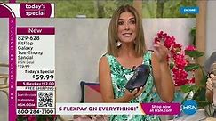 HSN | Summer Host Faves with Sarah 06.02.2023 - 04 AM