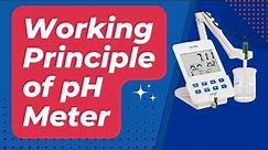 Working Principle of pH Meter | Types of pH Meter | pH Electrode Working