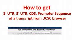 5' UTR, 3' UTR, CDS, Promoter sequence of a transcript from UCSC Genome browser