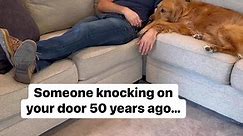 When that doorbell rings, we hide! #dog #goldenretriever #dogsoffacebook | Alexx Bz