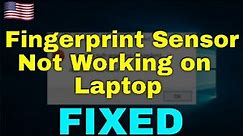 How to Fix Fingerprint Sensor Not Working on HP Laptop Windows 11