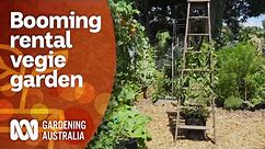 What goes into creating a productive food garden in a rental property | Gardening Australia