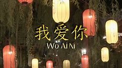 Wo Ai Ni (Official Lyric Video)
