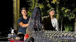 Massive 705-Pound Alligator Caught From Georgia's Lake Harding