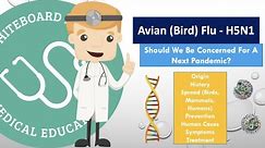 Bird Flu (Avian) H5N1 - Should We Be Concerned - Full Review (Origin, Spread, Human Cases, Symptoms)