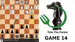 14th Chess Game (Czech Pirc Defense)