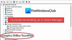 Touchpad driver not showing up in Device Manager of Windows 11/10