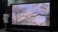 Panasonic teams up with NHK on 145-inch 8K Super Hi-Vision plasma TV (Update: video)