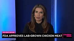 FDA Approves Lab-Grown Chicken Meat