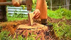 How to Remove a Tree Stump with a Wedge
