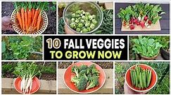 Top 10 Vegetables to grow in Fall & through Winter